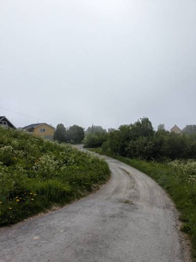 en grusvei i en liten landsby. den går mot noen hus, men husene er vanskelig å se. det man ser er tåket i området og mange blomster, trær, og mye gress.